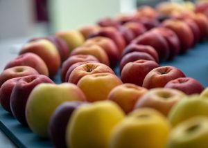 Biofach 2019: Δυναμική η Ελληνική Συμμετοχή για 4η Συνεχόμενη Χρονιά 